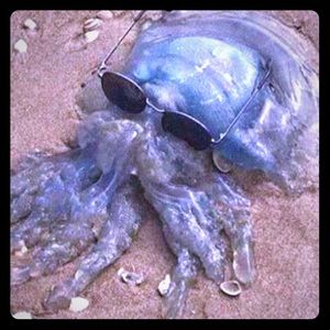 Meet your Posher, Emilee